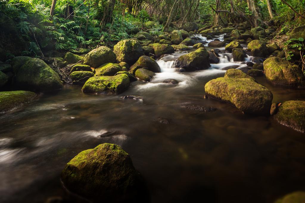 Hanalei Colony Resort Екстериор снимка