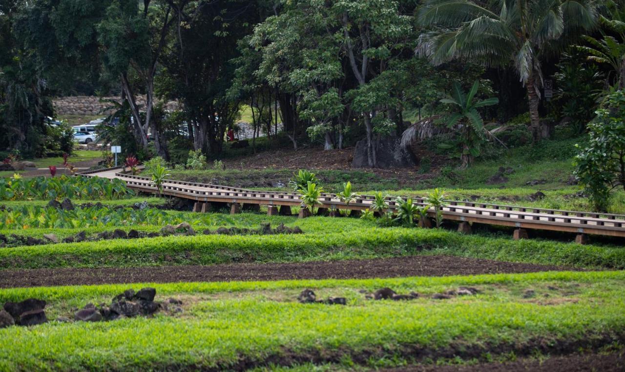 Hanalei Colony Resort Екстериор снимка